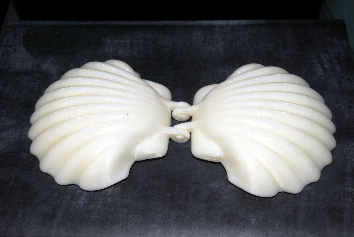 Elegant shell case - Printer Ready 3D print model_8