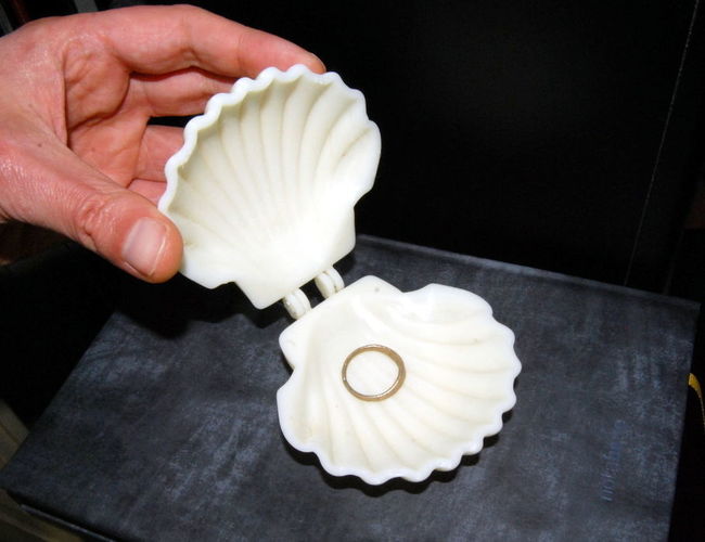 Elegant shell case - Printer Ready 3D print model