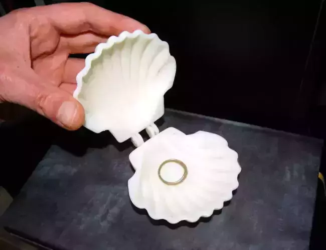 Elegant shell case - Printer Ready 3D print model