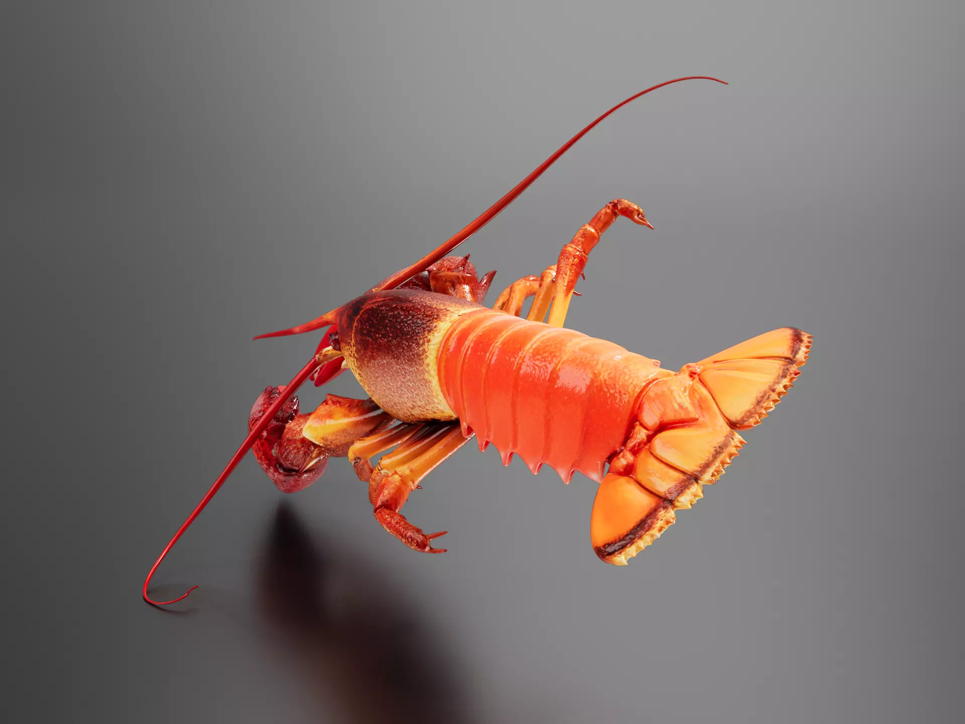 Fresh Whole Lobster Displayed 3D print model