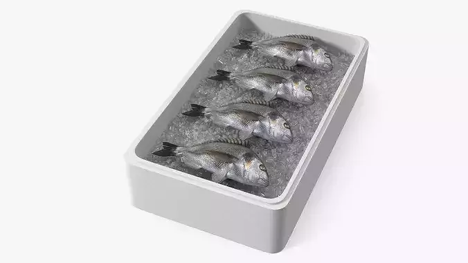 Fresh Gilthead Dorado in Styrofoam Box with Ice 3D model