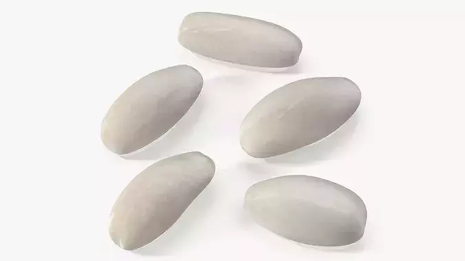 Raw Rice Grains 3D model