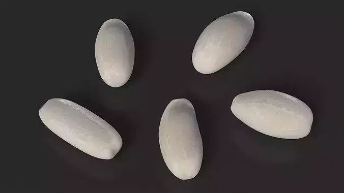 Raw Rice Grains 3D model 4
