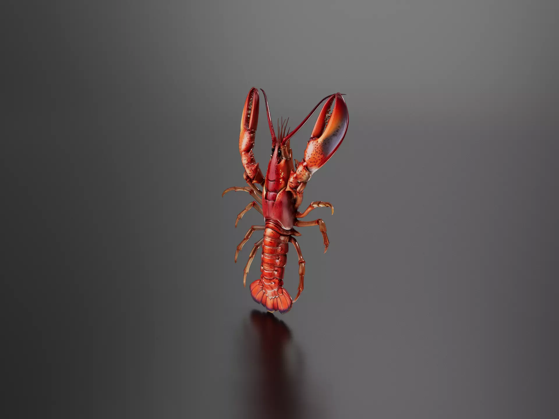 Lobster 3D print model