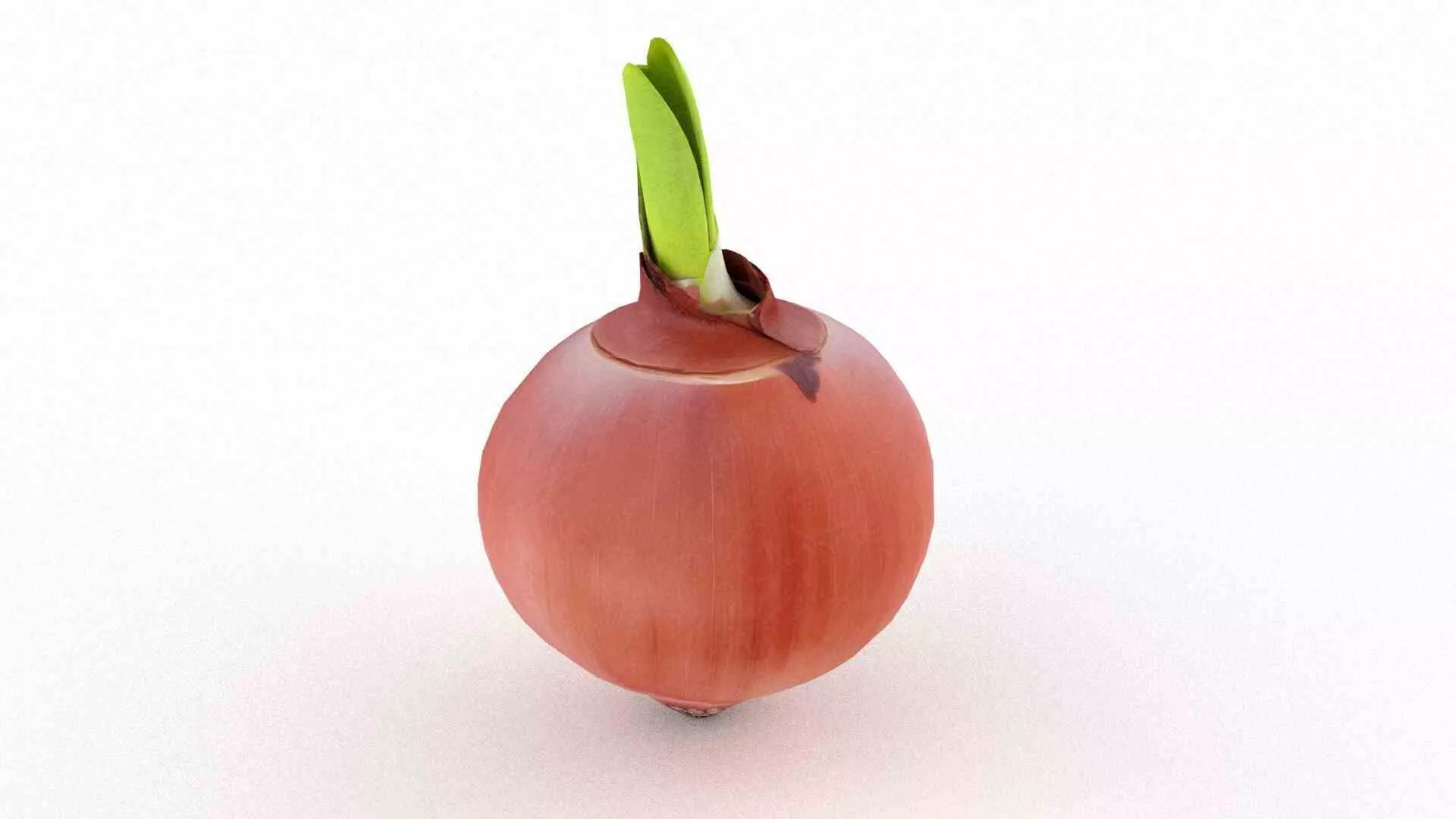 Onion Low-poly 3D model