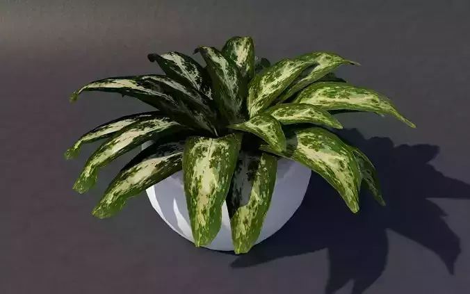 Low Poly UV Mapped Plant
