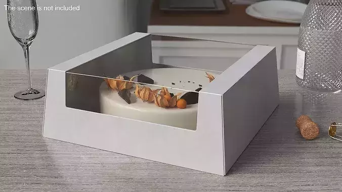 Transparent Window Box with Minimalist Cake with Physalis 3D model 2