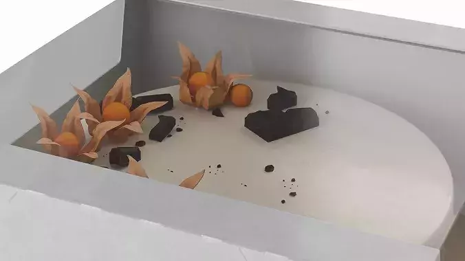Transparent Window Box with Minimalist Cake with Physalis 3D model 6