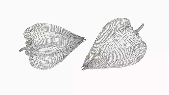 Ripe Physalis Covered Husk Fur 3D model 7