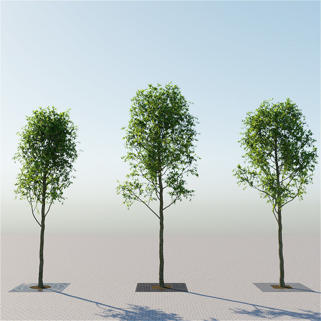 Trees and steel grating 3D model_1