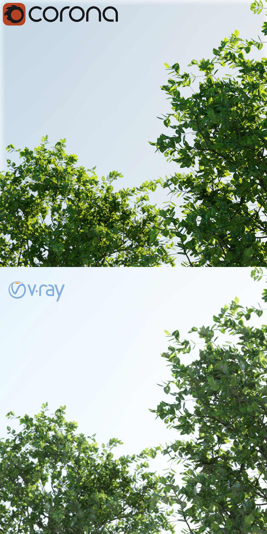 Trees and steel grating 3D model_6