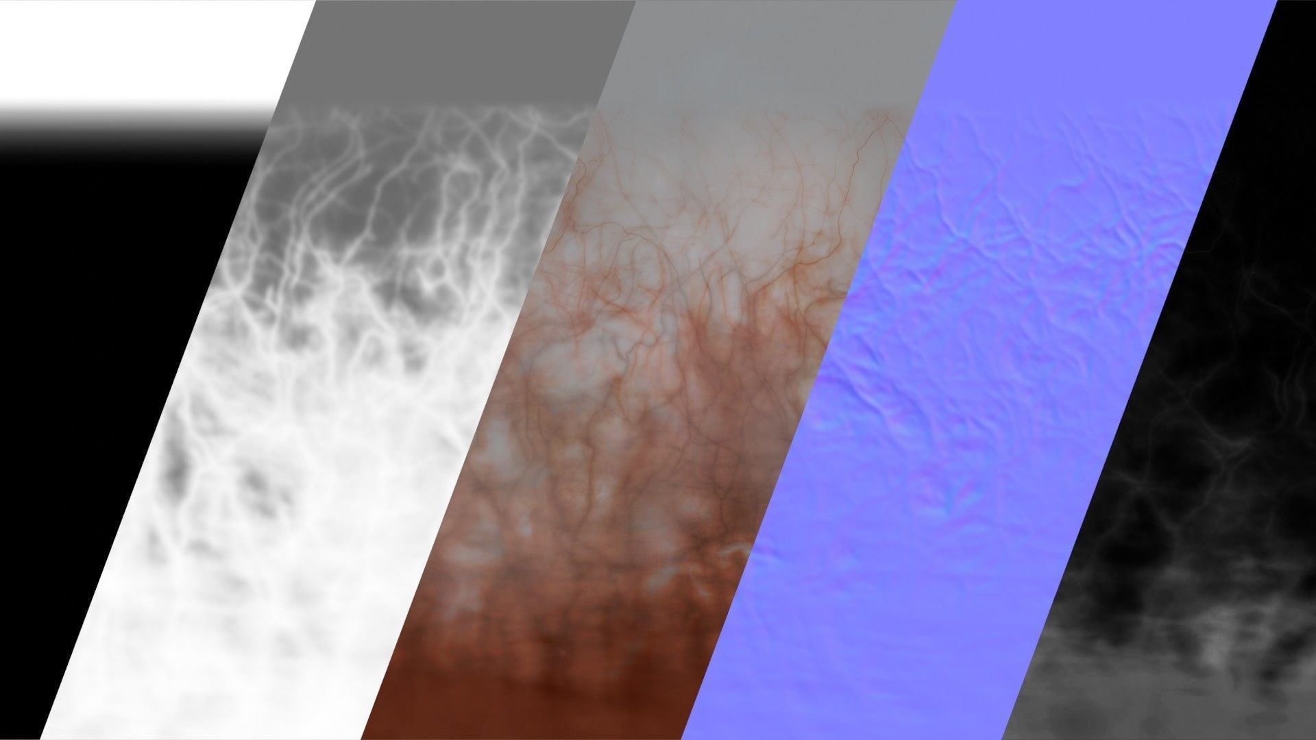 Human eye Photorealistic  Low-poly 3D model_27