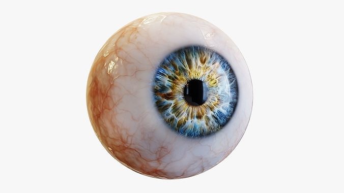 Human eye Photorealistic  Low-poly 3D model