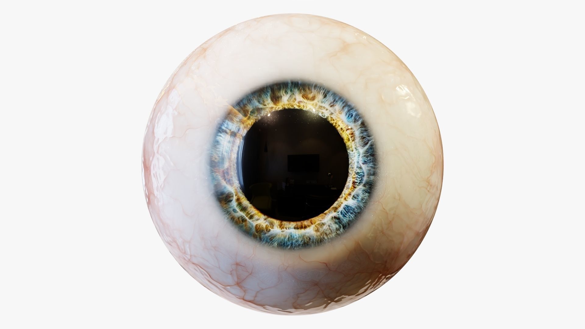 Human eye Photorealistic  Low-poly 3D model_12