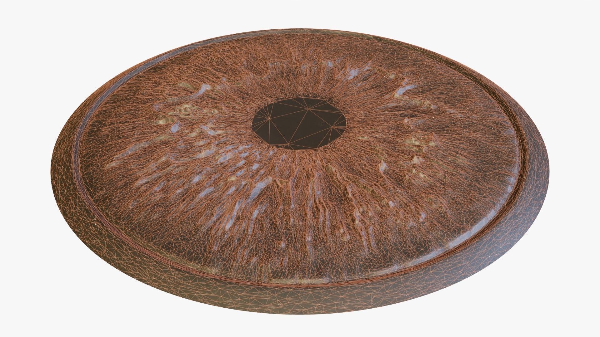 Human eye Photorealistic  Low-poly 3D model_25