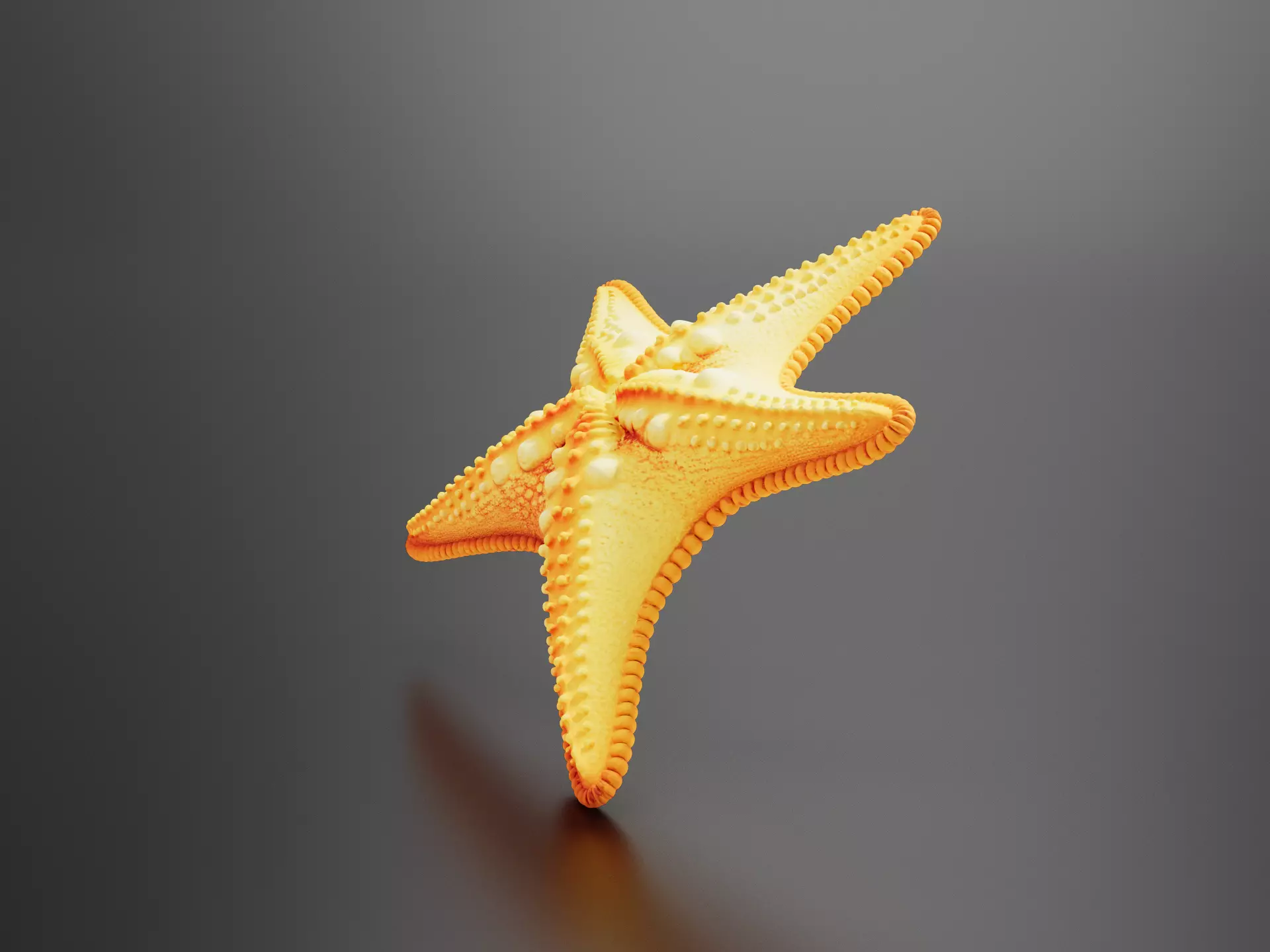 Orange Starfish 3D print model
