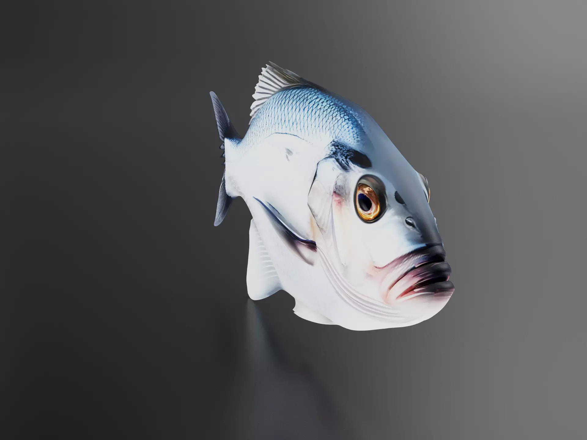 Salty fish 3D print model