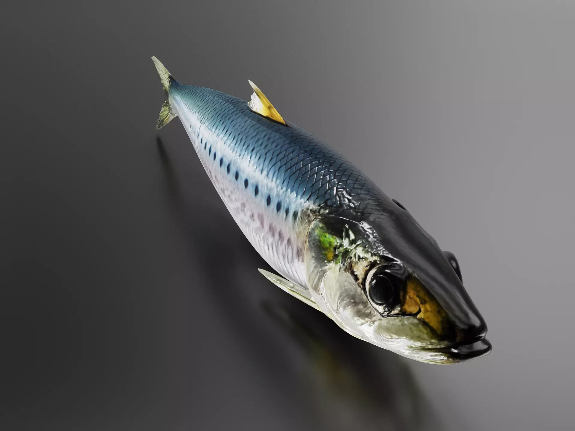 Sardine fish 3D print model