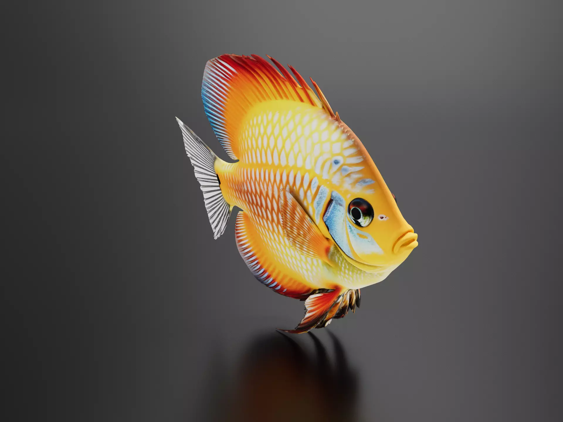 Tropical Fish 3D print model