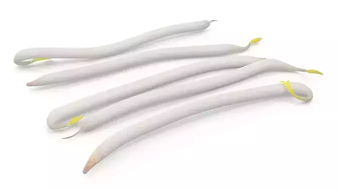 Fresh Bean Sprouts Isolated 3D model