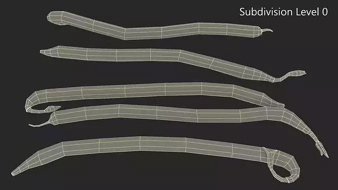 Fresh Bean Sprouts Isolated 3D model 7