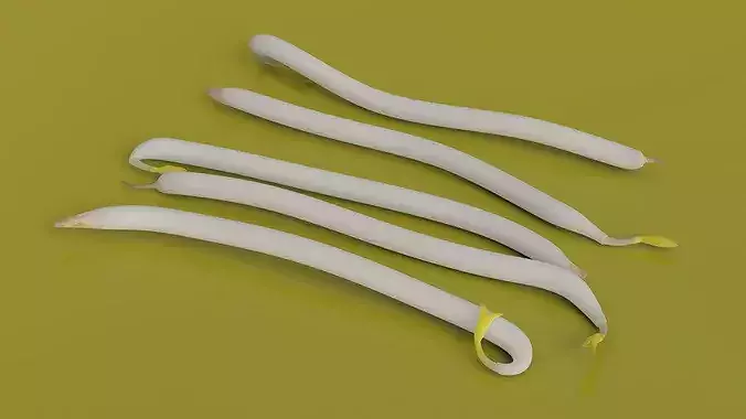 Fresh Bean Sprouts Isolated 3D model 4