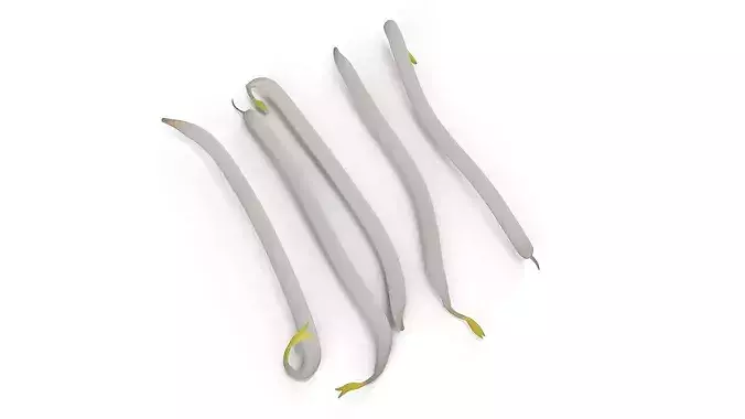 Fresh Bean Sprouts Isolated 3D model 2