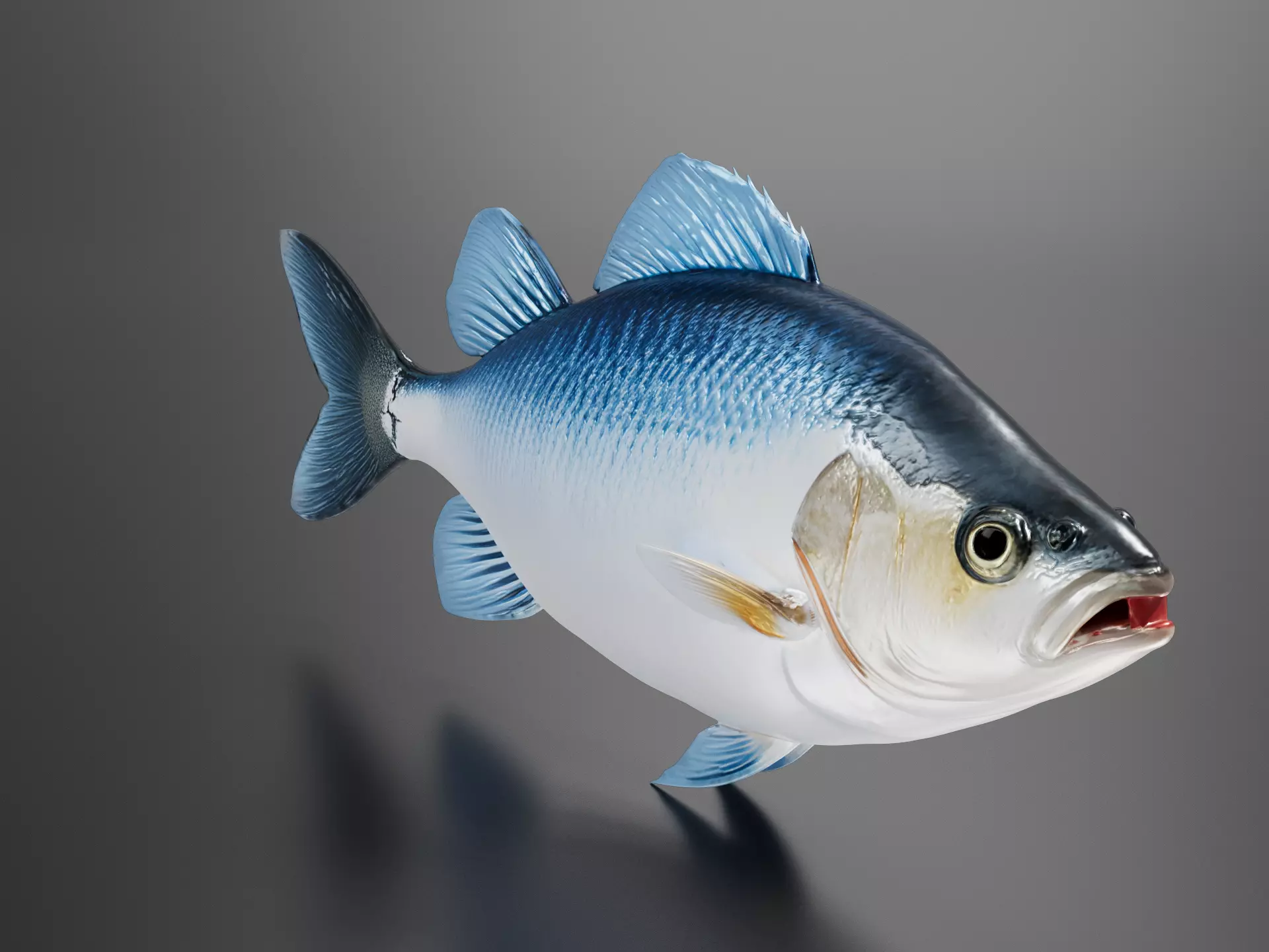 White Perch 3D print model