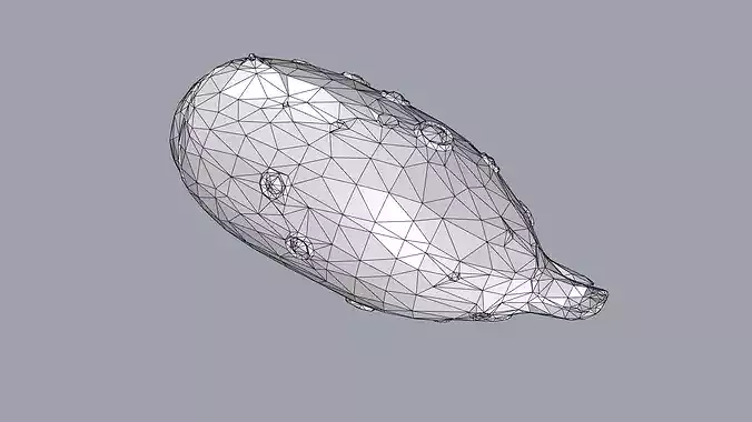 Taro corm Low-poly 3D model 7
