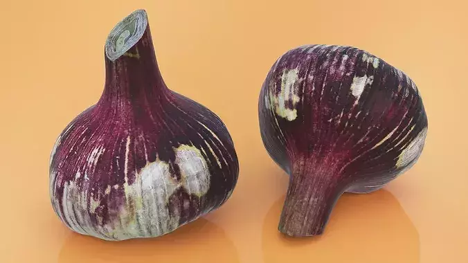 Purple Garlic Bulb 3D model 5