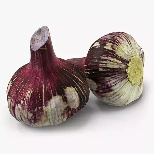 Purple Garlic Bulb 3D model 2