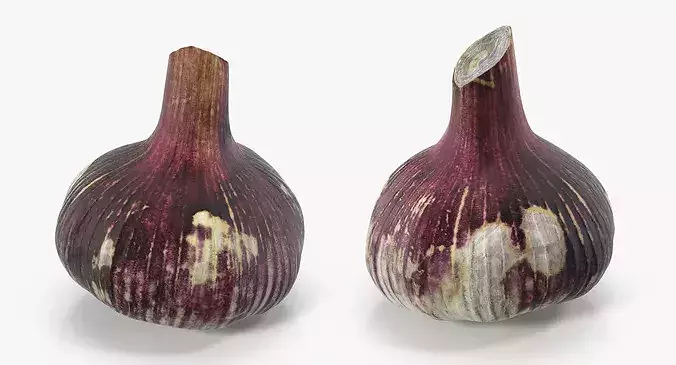 Purple Garlic Bulb 3D model