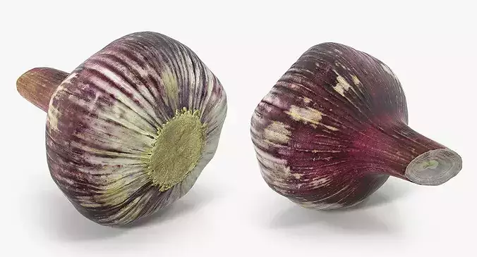 Purple Garlic Bulb 3D model 6