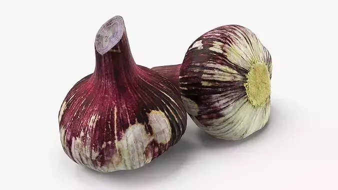 Purple Garlic Bulb 3D model 3