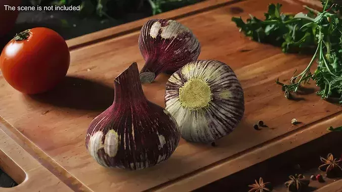 Purple Garlic Bulb 3D model 4