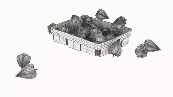 Dry Closed Physalis in Wooden Basket 3D model 7