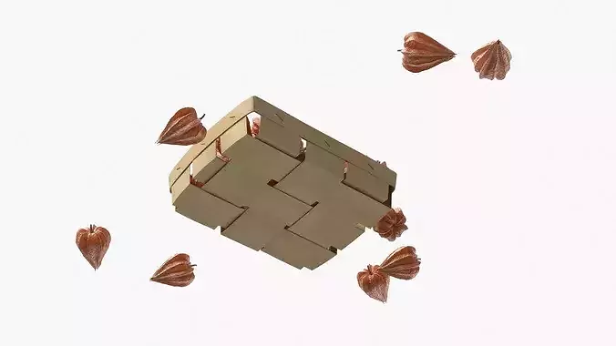 Dry Closed Physalis in Wooden Basket 3D model 5