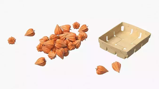 Dry Closed Physalis in Wooden Basket 3D model 6