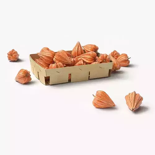 Dry Closed Physalis in Wooden Basket 3D model