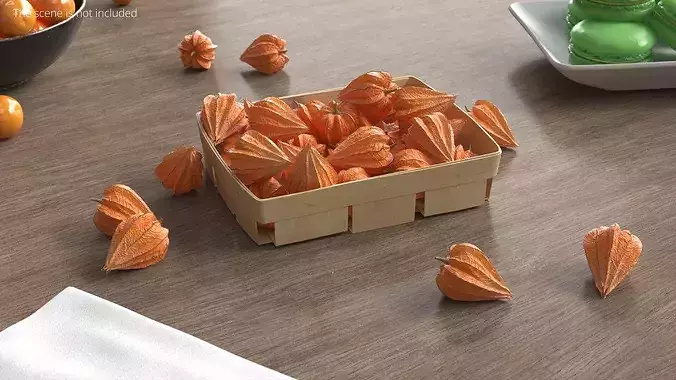 Dry Closed Physalis in Wooden Basket 3D model 3