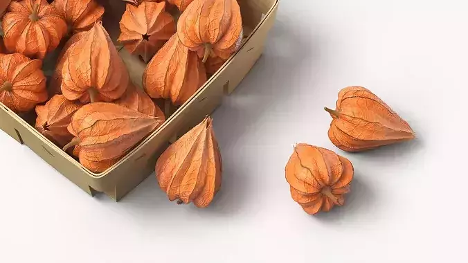 Dry Closed Physalis in Wooden Basket 3D model 4