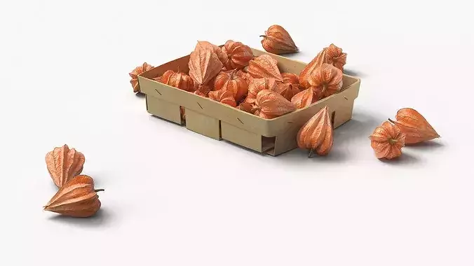 Dry Closed Physalis in Wooden Basket 3D model 2