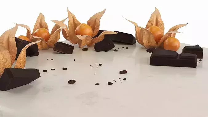 Chocolate Garnished Cake with Physalis 3D model 6