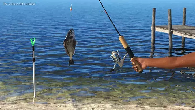 Fishing Rod with Caught Dorado 3D model 2