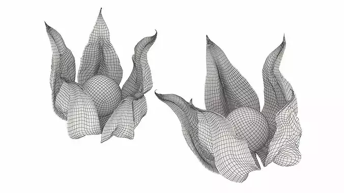 Physalis Fruit Open Husk Fur 3D model 7