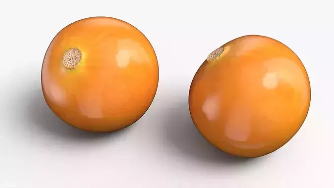 Physalis Fruit Open Husk Fur 3D model 6