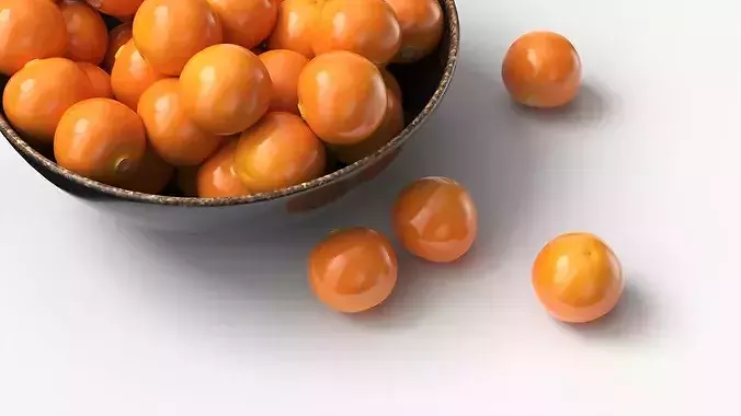 Physalis Fruits in Ceramic Bowl 3D model 4