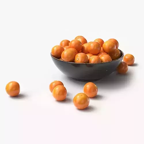 Physalis Fruits in Ceramic Bowl 3D model