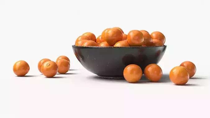 Physalis Fruits in Ceramic Bowl 3D model 2