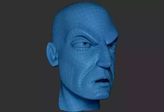 Serious Man Low Poly Head